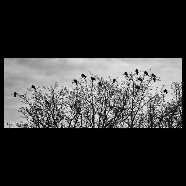 PHOTO84, CLUB, 84 , LUBERON